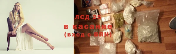 прущие грибы Алексин