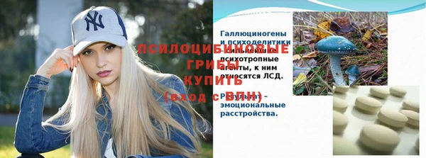 прущие грибы Алексин