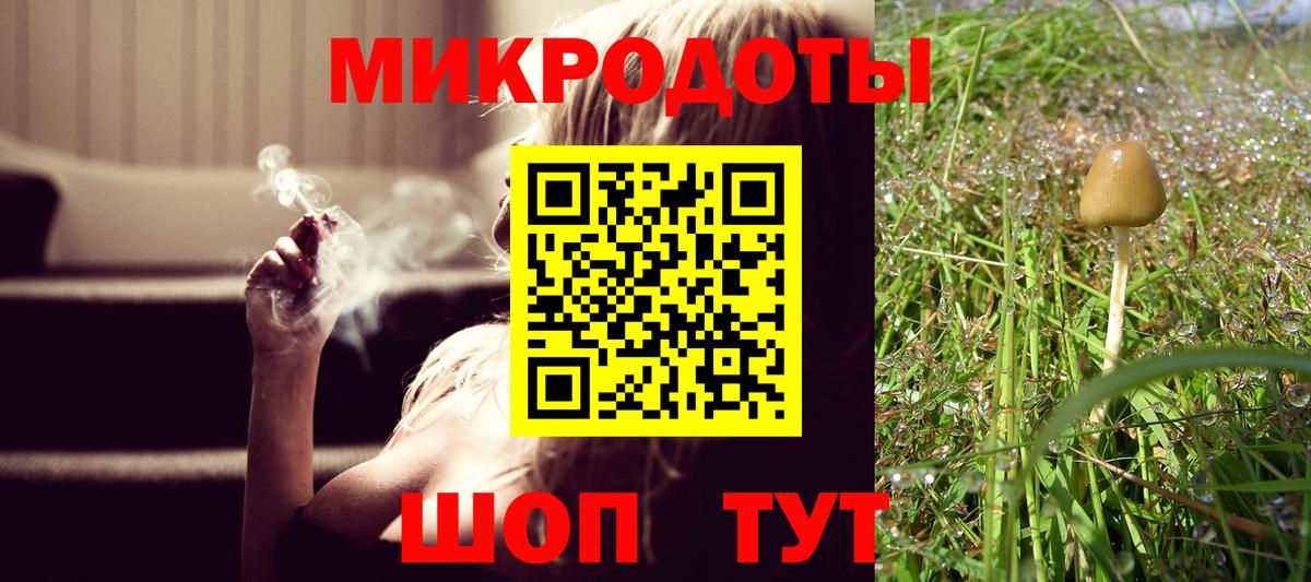 Галлюциногенные грибы мухоморы Нижнеудинск