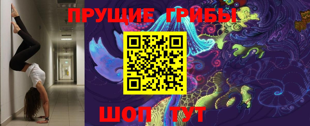 Псилоцибиновые грибы MAGIC MUSHROOMS  Галлюциногенные грибы ЛСД  Вход с VPN  Нижнеудинск 